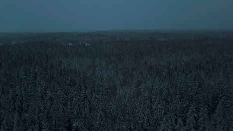 flying over a dark ominous forest in lapland wilderness woodlands