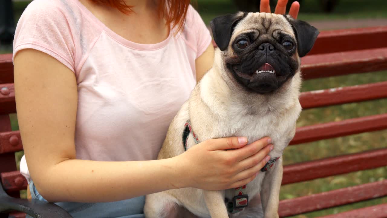 Girl sitting on a bench and stroking her pug