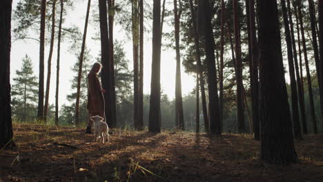 a woman with a dog walks among tall pines in the forest