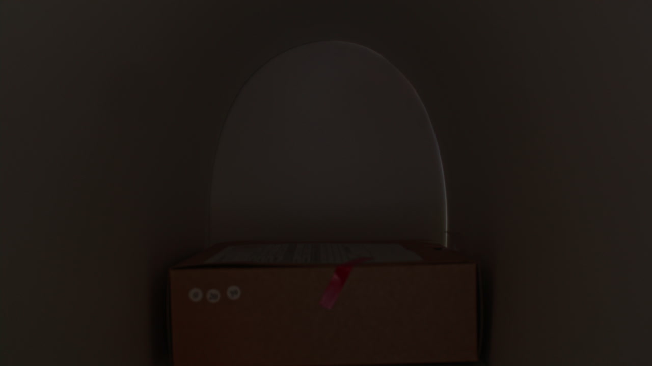 Two Multiethnic Girls Excitedly Retrieving Package from Mailbox