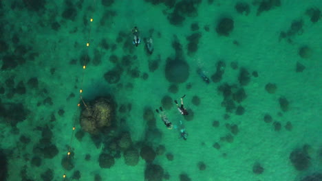 Aerial-view-of-divers-in-pristine-beauty-turquoise-ocean-clear-water