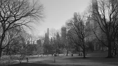 Monocromo-Del-Parque-Central-De-La-Ciudad-Con-Gente-Paseando-Durante-El-Invierno-En-Manhattan,-Nueva-York,-Estados-Unidos