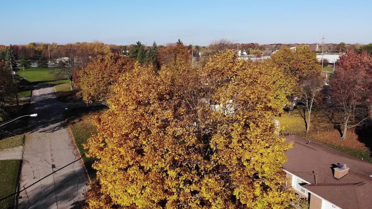 una toma aérea de otoño en ascenso de un barrio residencial típico de clase media en michigan