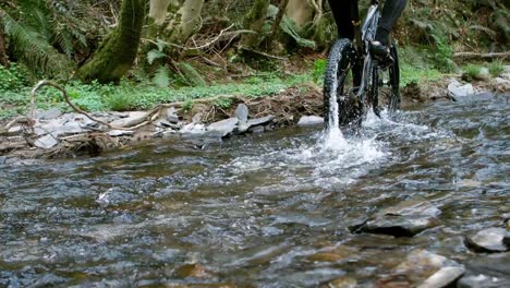 mountain biker riding bicycle in creek