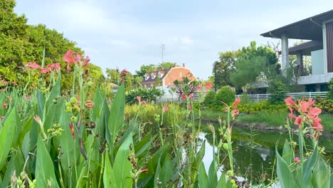 canna lilies bloom near a modern building