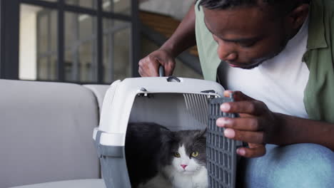 cat inside a carrier