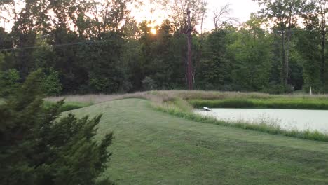 sun setting through forest trees and water
