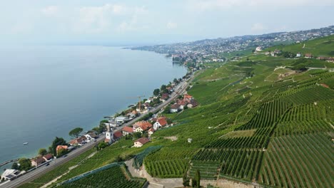 drone reveal shot of lavaux vineyards and the lake of geneva in switzerland