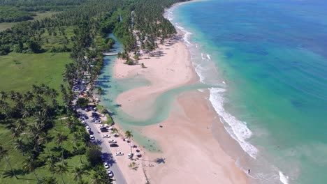 aerial view of tropical beach with turquoise water and palm trees