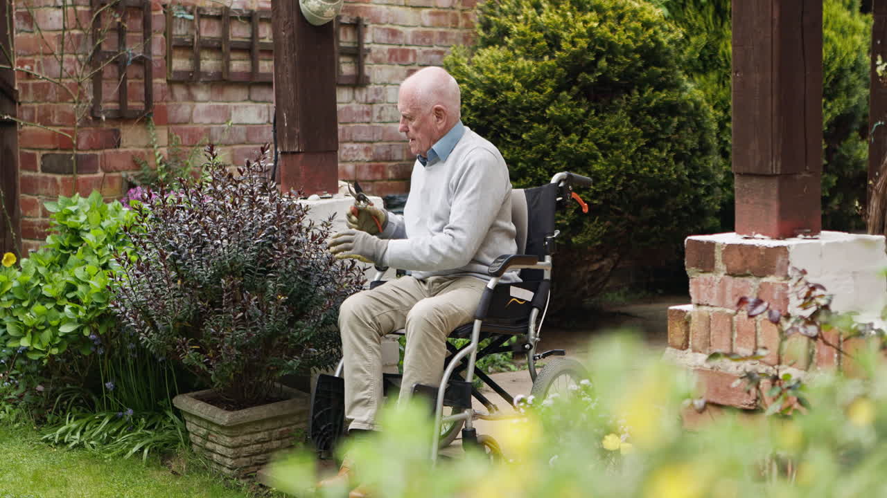 Elderly man gardening in wheelchair
