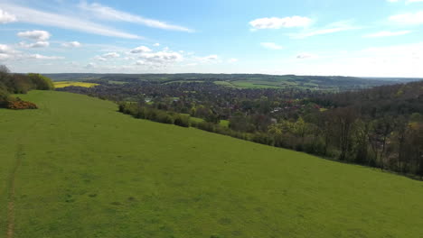 Aerial-Shot-Of-Mature-Couple-And-Dog-On-Walk-In-Countryside