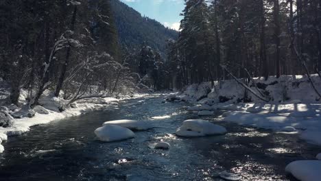 Schöner-Schneeszenenwald-Im-Winter.-Überfliegen-Von-Fluss--Und-Kiefernbäumen,-Die-Mit-Schnee-Bedeckt-Sind.