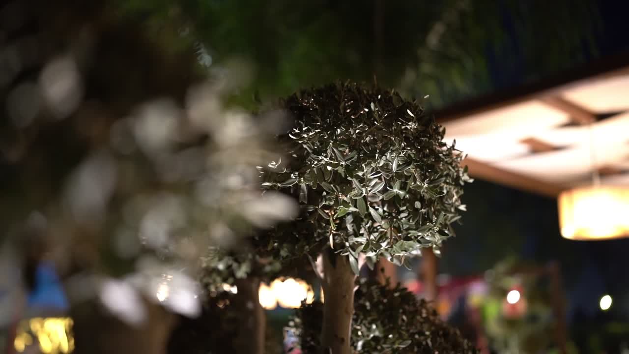 큰 나무의 전망, 근접 촬영, 낮은 각도 촬영