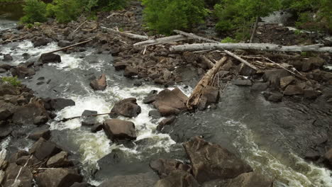 pieces of dry trees amidst oxtongue falls after flooding in the region