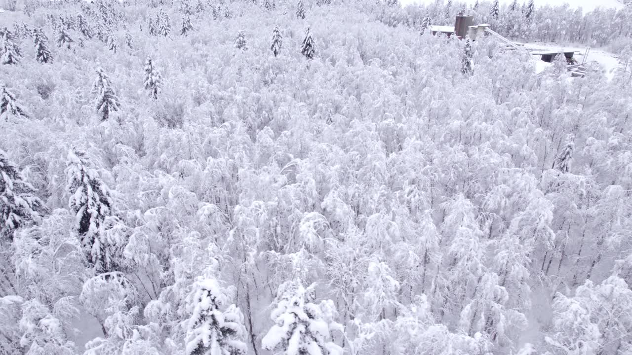 신비로운 산 숲, 눈 덮인 알더 및 가문비 나무의 아름다운 전망과 함께 왼쪽에서 오른쪽으로 돌리
