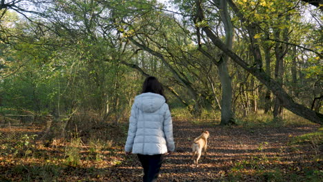 Vista-Trasera-De-Una-Mujer-Asiática-Caminando-Por-Un-Camino-Rural-Con-Su-Perro