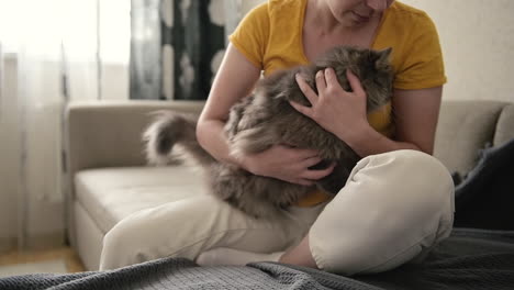 Frau,-Die-Auf-Dem-Sofa-Sitzt-Und-Ihre-Süße-Katze-Streichelt