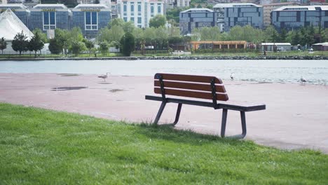 empty bench by the lake