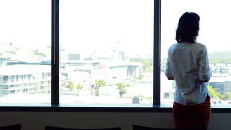 Rear-view-of-female-executive-looking-through-window