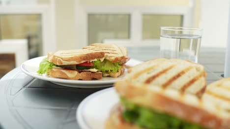 dolly out of freshly toasted sandwich outdoor on plastic table