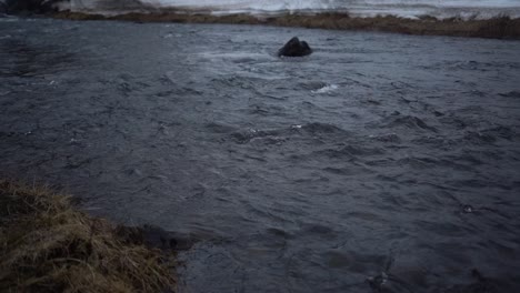 Río-Glaciar-Islandés-Que-Fluye-Suavemente-En-Primavera