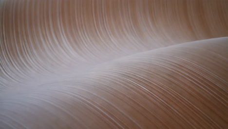 abstract wave texture