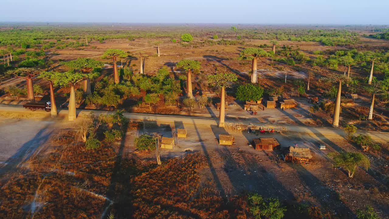 un camión disparado por un dron en un camino polvoriento bajo los hermosos árboles de baobab al atardecer en la avenida de los baobabs en madagascar