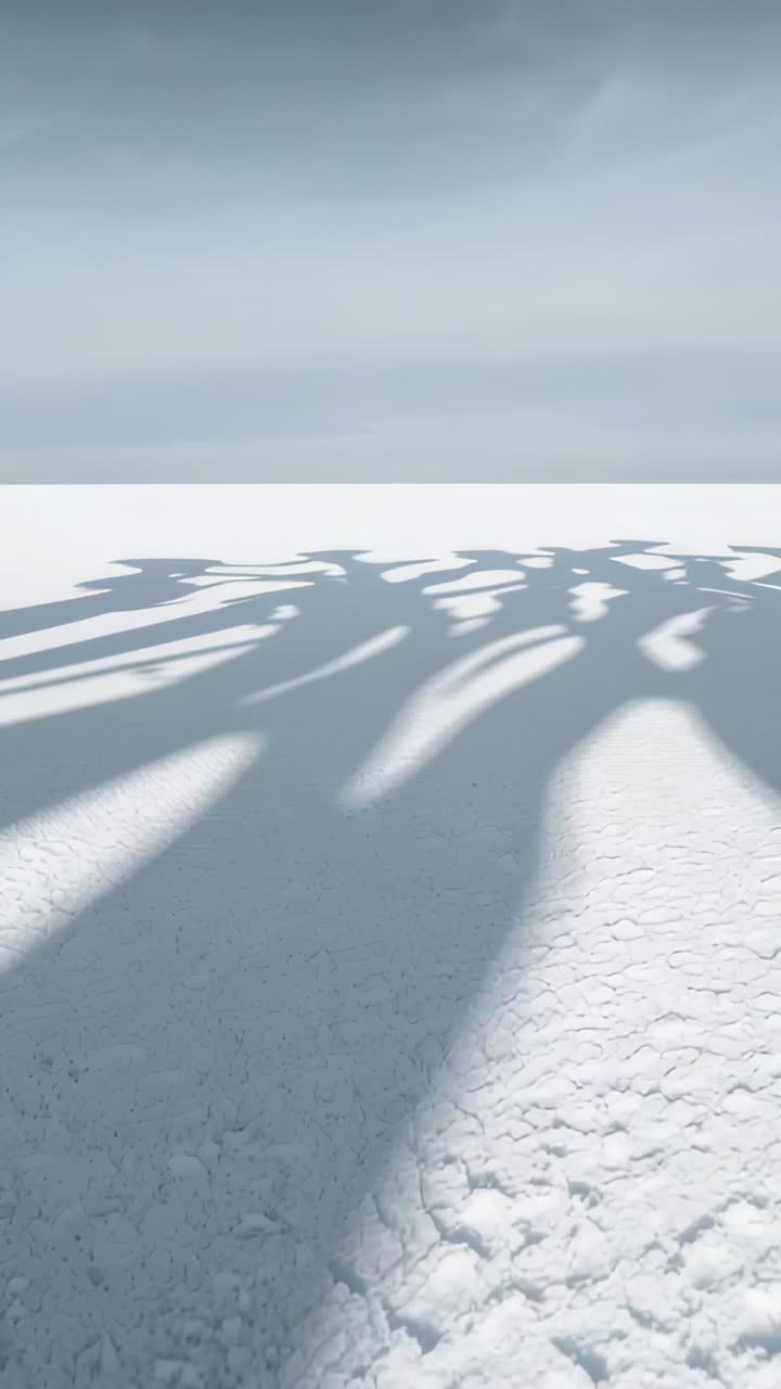Vertical video: Shifting sun moving long organic shadows across white salt flat horizon, pale sky