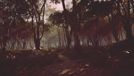 deep tropical jungle in darkness