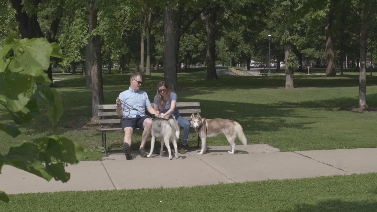 A couple walking their dogs sits on a park bench in Chicago, IL, talk to each other, and pet their two huskies