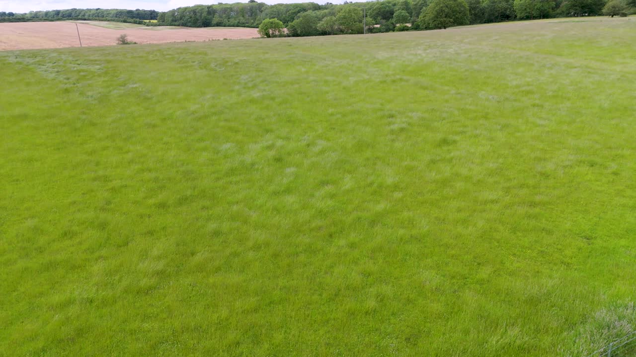 Drone slowly rising over windy grassy field with wavy pattern, with trees and sky behind