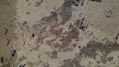 volontari che puliscono la spiaggia