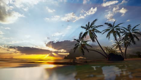 sunrise on tropical island sea beach, calm ocean sunset, morning dawn panorama landscape, palm tree leaves silhouette, yellow sun reflection