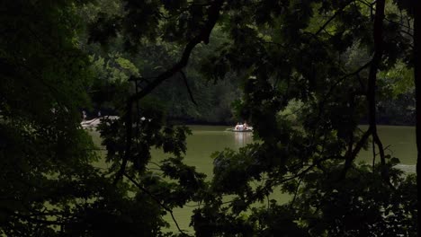 row boat in the central park, new york city, new york