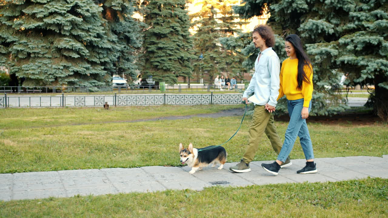 pareja paseando a un perro en un parque