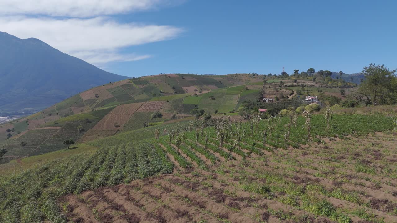농경지, 울창한 초록색과 은 하늘 아래 배경에 높은 화산과 함께 경치 좋은 언덕