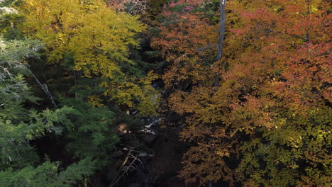 Volando-A-Través-De-árboles-Otoñales-Revelando-Pequeñas-Caídas-Altas-En-Bracebridge,-Ontario,-Canadá