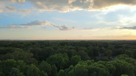 volando sobre árboles gruesos en clarksville, tennessee