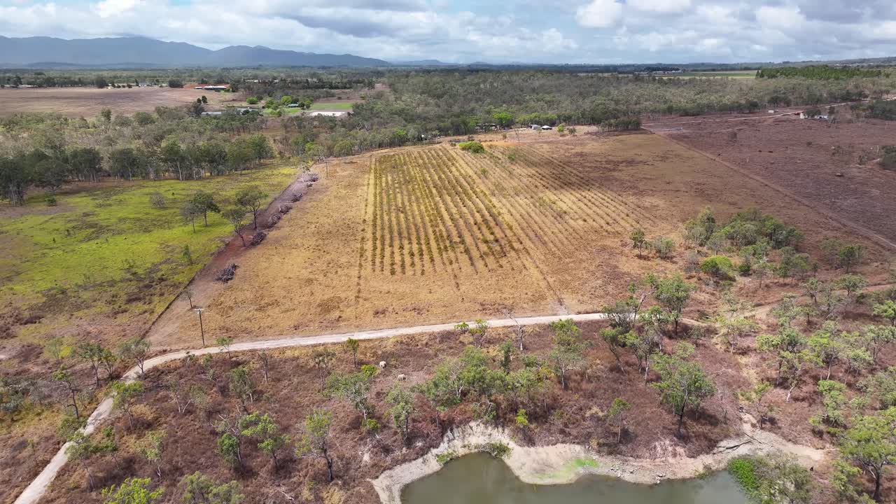 campos rurales con cultivo, el campo de queensland, mareeba, australia. avión no tripulado, agricultura, producción.