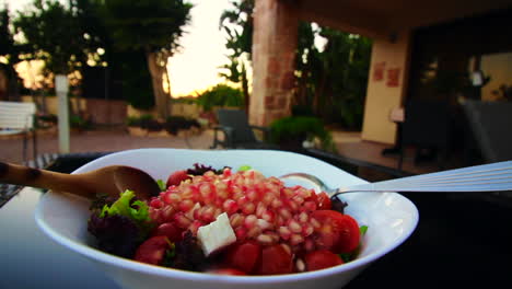 Werfen-Das-Abendessen-Granatapfelsalat