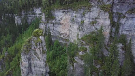 rocky cliff face with lush forest