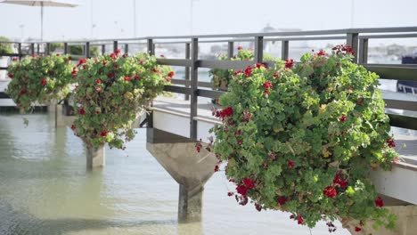 flower decorations on the pier by the beach