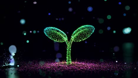 delving into the intriguing journey of a digital seedling as it flourishes, showcasing an array of vibrant colors and unique shapes
