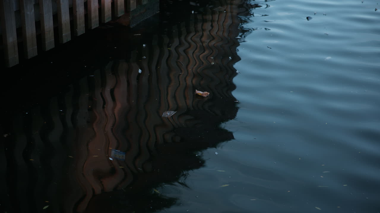 Some garbage that are floating in the water