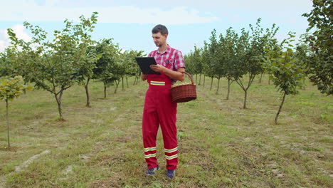 gardener agronomist man farmer analyzing hazelnuts tree rows in garden making notes in journal