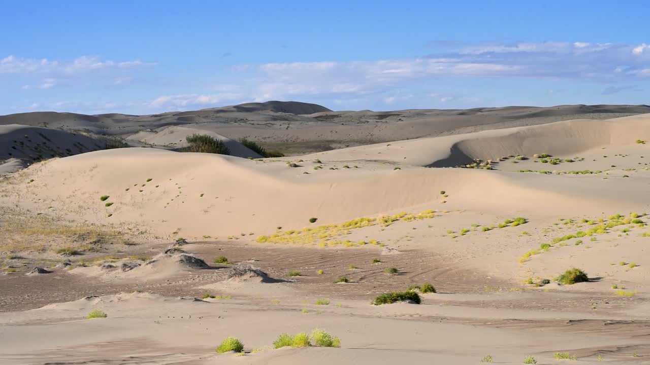 A sweeping vista of the Durgun Nuur desert in remote Mongolia, featuring immense, rolling sand dunes dotted with sparse vegetation. A scene of untouched, natural wilderness