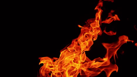 long fire flame stretching into the air in the dark night. tine sparks flash in the darkness.