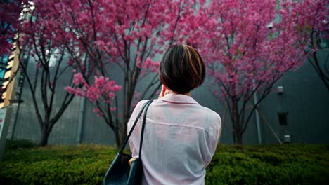 woman enjoying cherry blossoms in a city