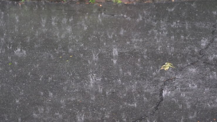 Una forte pioggia che cade sul vialetto esterno durante un temporale