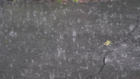 a heavy rain falling on the driveway outside during a thunderstorm